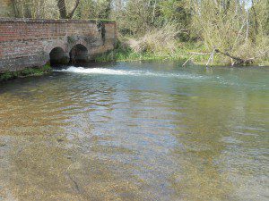 River Bure Norfolk