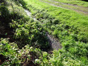 septic-tank-replacement