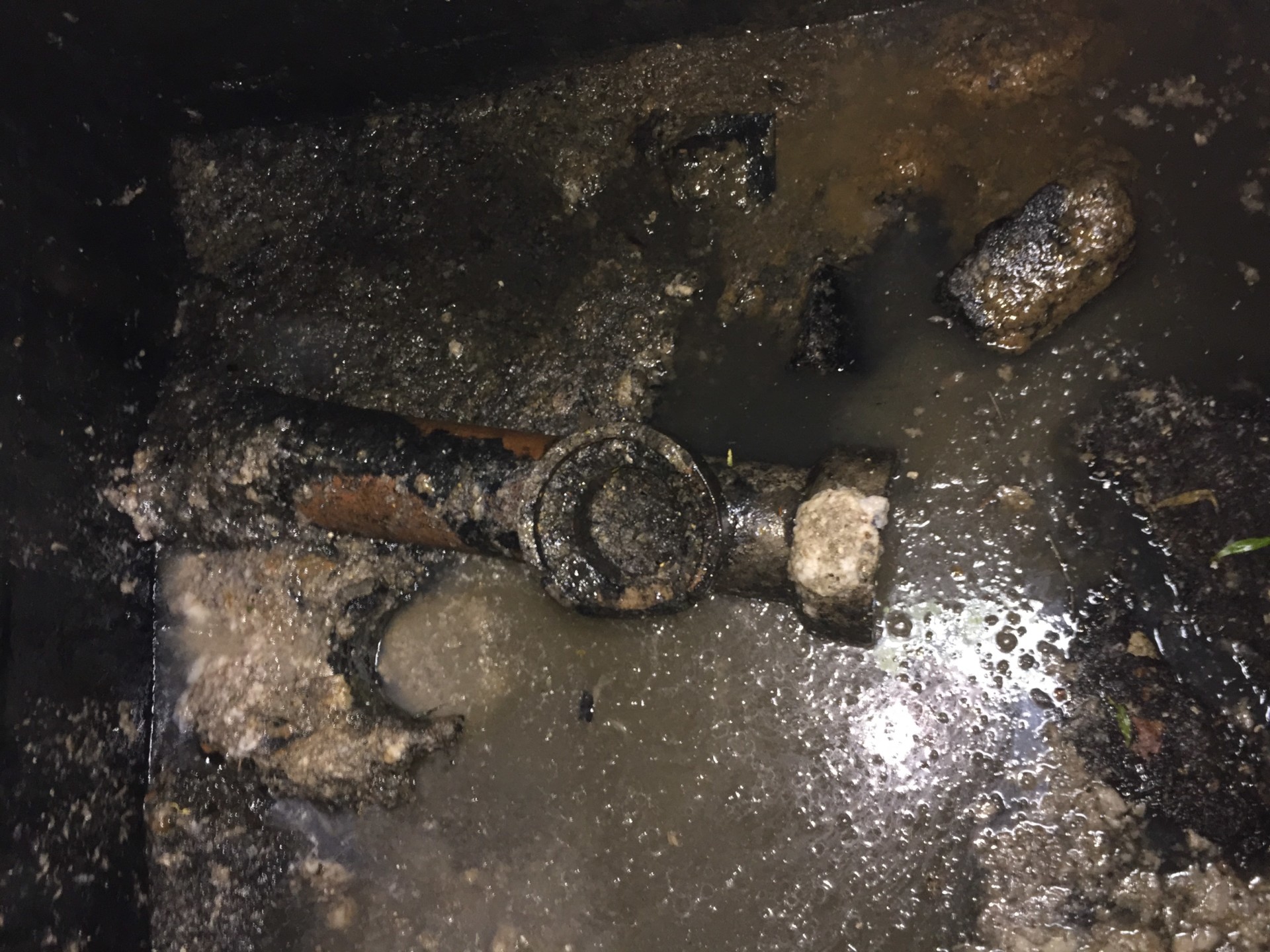 Septic Tank Problems Mantair