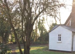 Sewage treatment plant Essex