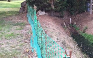 Septic tank discharge into ditch