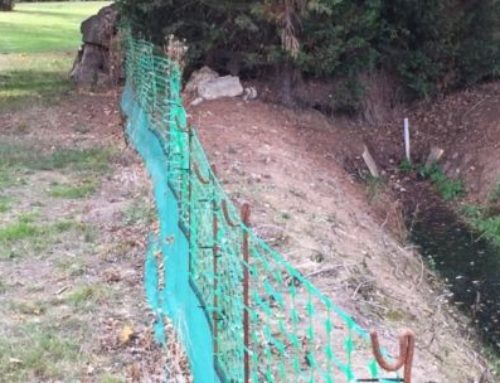 Is a septic tank discharge into a ditch legal?