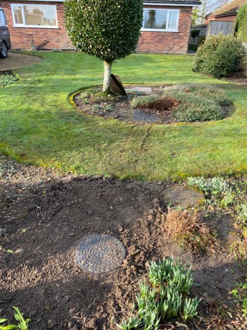 Garden after septic tank conversion