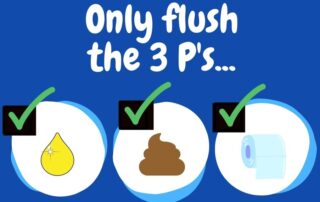 Only flush the 3 p's