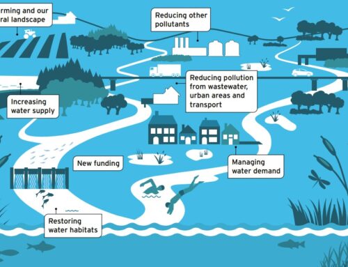 Defra publishes plan to improve regulation of private sewage discharges.