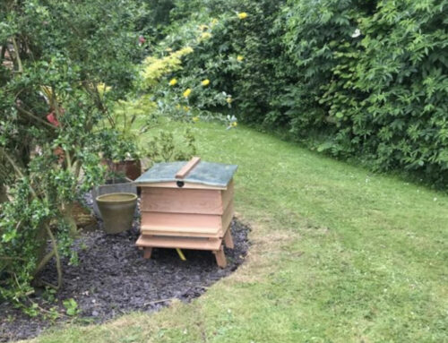 Mantair uses wooden beehives to house air blowers