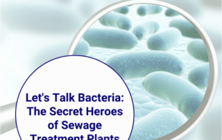 how sewage treatment plants work