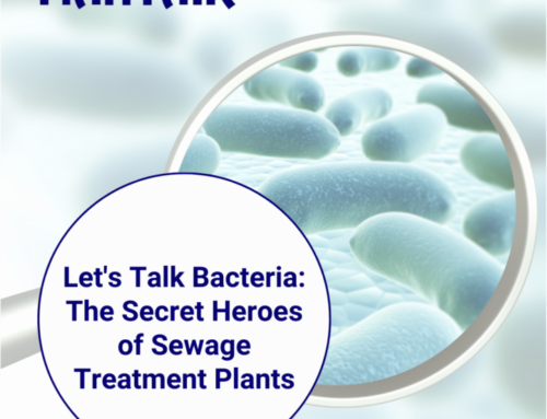 Let’s Talk Bacteria: How does a Sewage Treatment Plant Work
