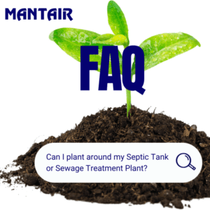 Planting around a septic tanks