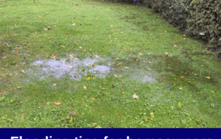 sewage treatment plant flooding